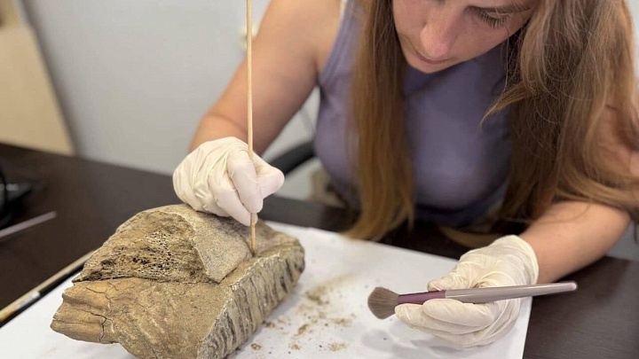 В центре Нижнего Новгорода нашли зуб мамонта