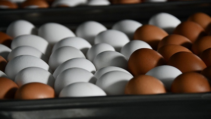В Минсельхозе оценили рост оптовых цен на яйца
